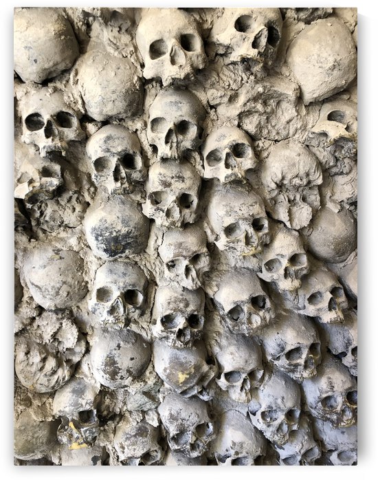 D2E0519A 459B 4308 95CC 78F2AFE67A72 by erin insalaco