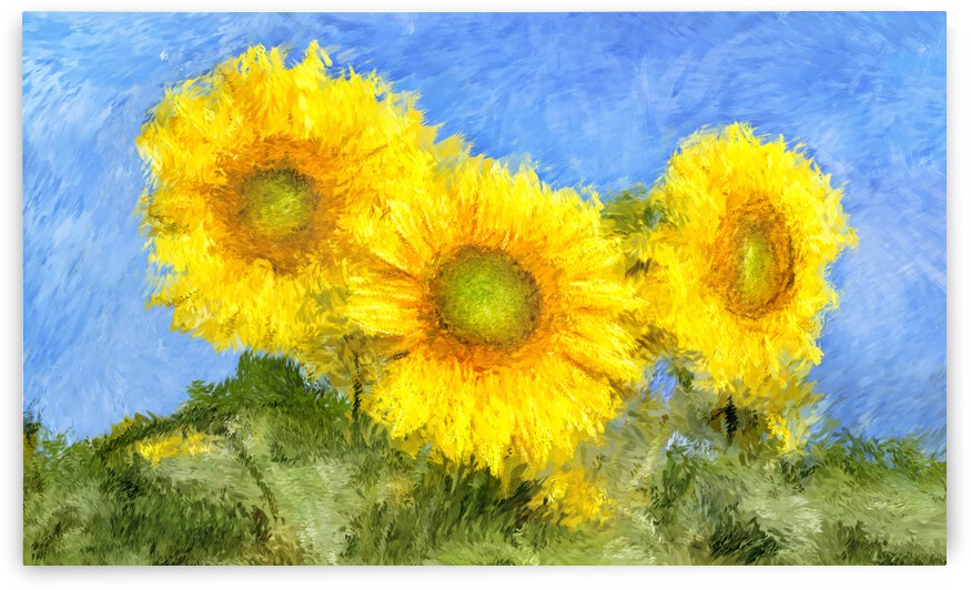 sunflower flowers painting by Morrison