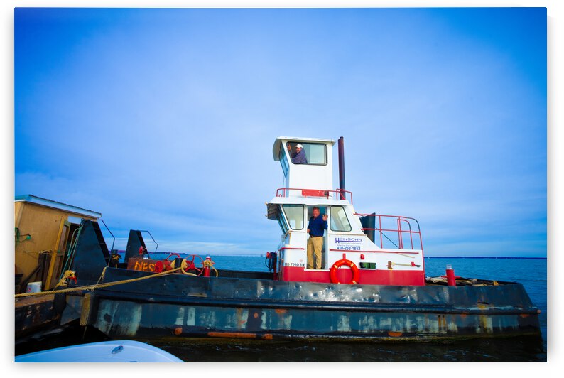 A59D6256 4D00 4544 8D76 46D64760D296 by Coastal Life Media