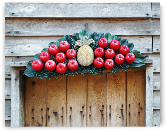 Doorway Fruit Fan in St. Augustine  by Bill Swartwout Photography