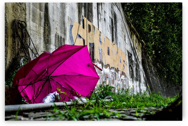 Umbrella by Robert MacRae