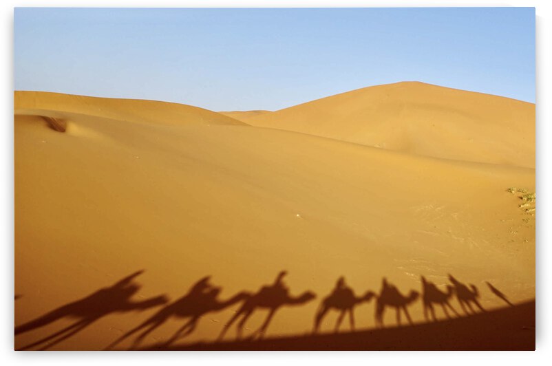 E11F784B FD01 4781 ADBF 681A35D75130 by Benjamin Martin