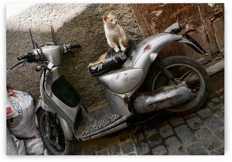 B74EA6CE AE05 4055 955E D665D2897B81 by Benjamin Martin