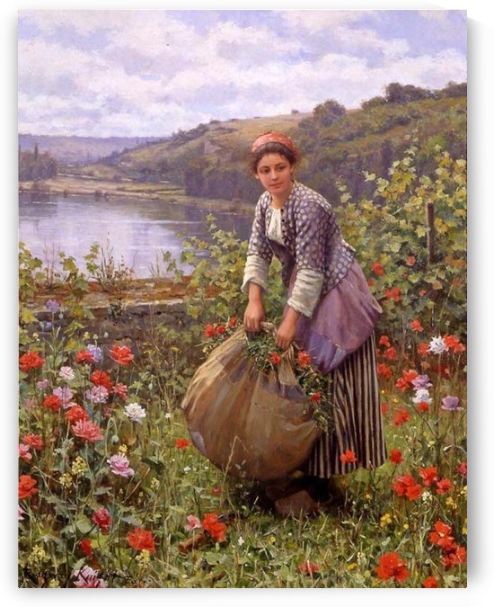 Daniel Ridgway Knight Art Collection