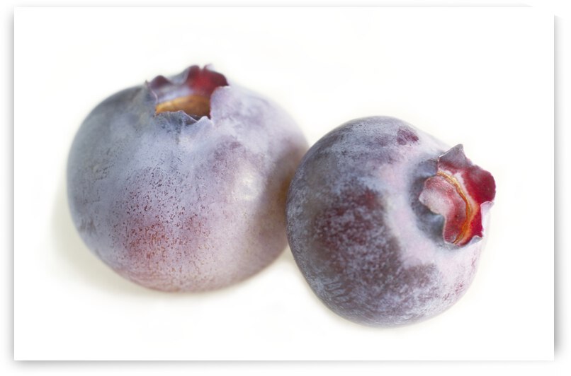 Blue And Pink Blueberry by Iris H Richardson