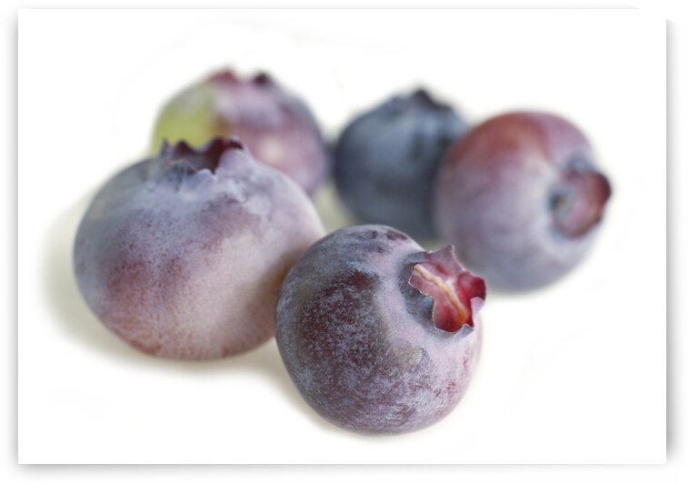 Five Blueberries on White by Iris H Richardson