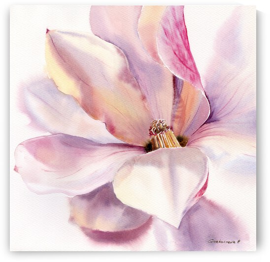 Magnolia Flower square by Eugenia Gorbacheva
