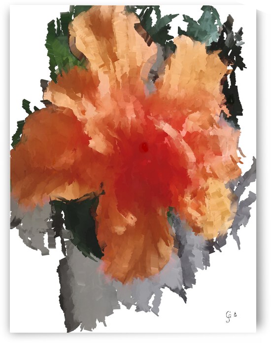 Hibiscus double by Coloriflam
