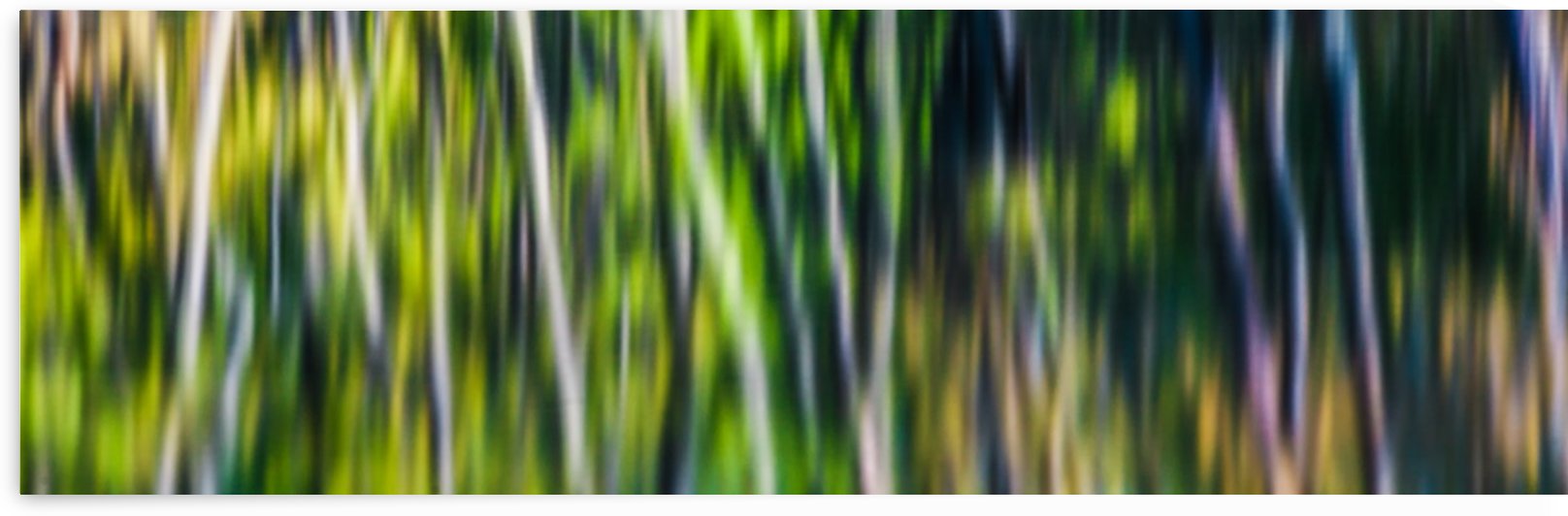 Riverside Trees by Michel Nadeau