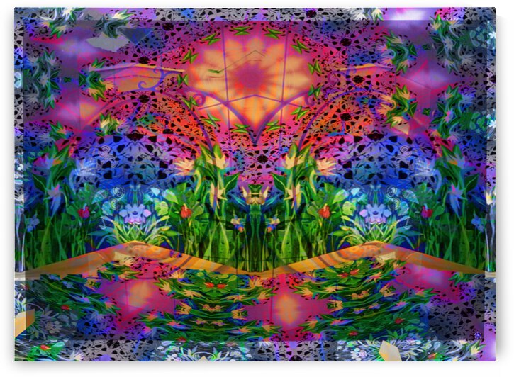 PARADISE CITY  by desetoiles10