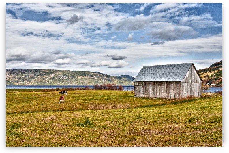 Anse St-Jean by Michel Nadeau