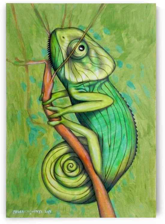 green chameleon by federicocortese
