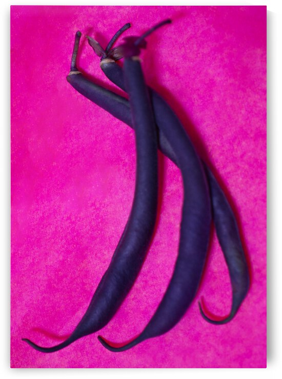 Purple Beans on Magenta by Iris H Richardson