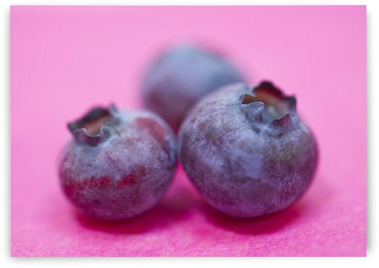 Fresh Blueberries on Pink by Iris H Richardson