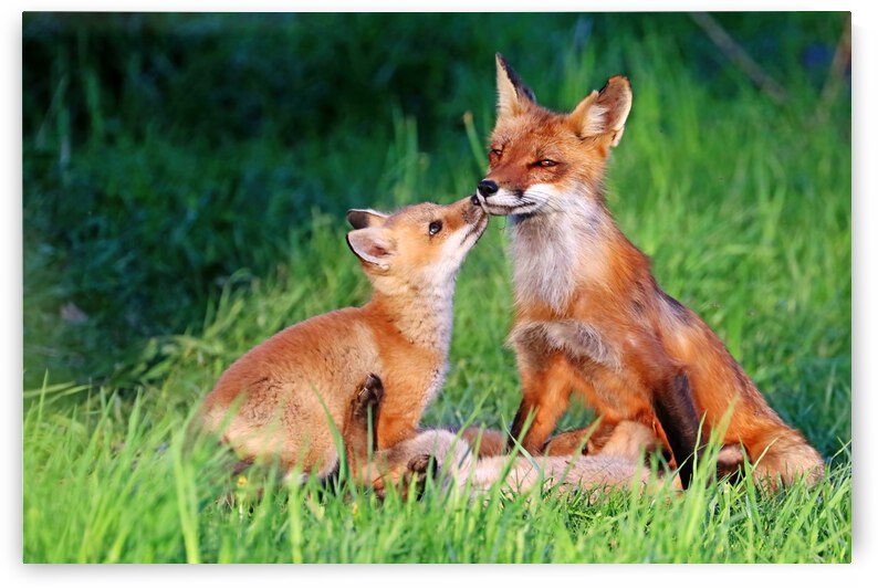 Love You by Deb Oppermann