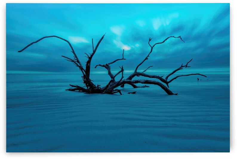 Jekyll Island by Ercan Ekinci