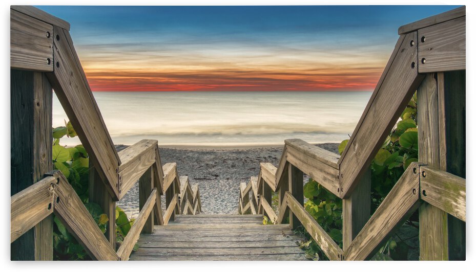   Coconut Point by Ercan Ekinci