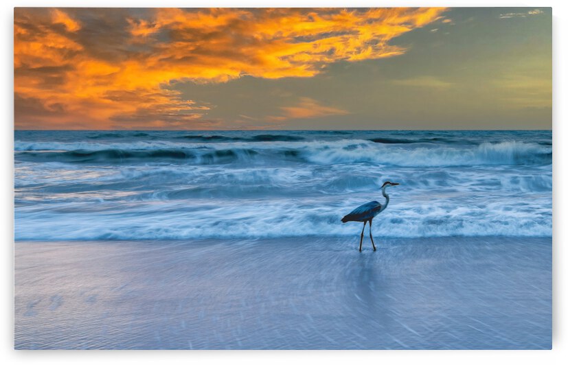  SOUTH PATRICK SHORES  by Ercan Ekinci