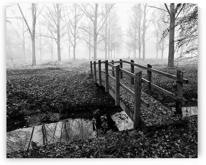 Misty Day by Keith Truman