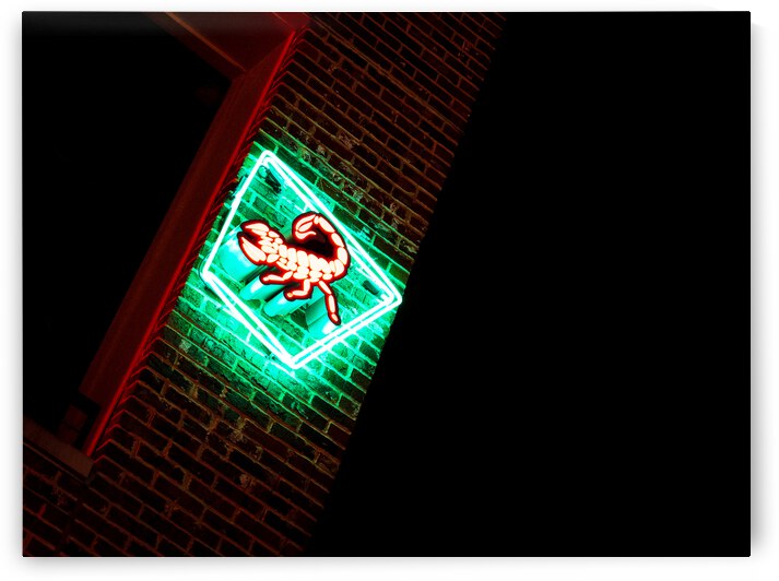 Scorpion Shot by Joe Ho CEO