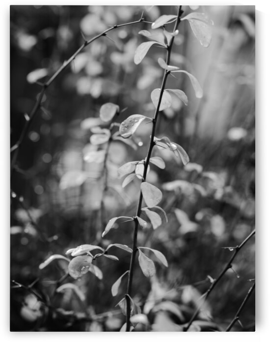 PSX 20211223 093904 1