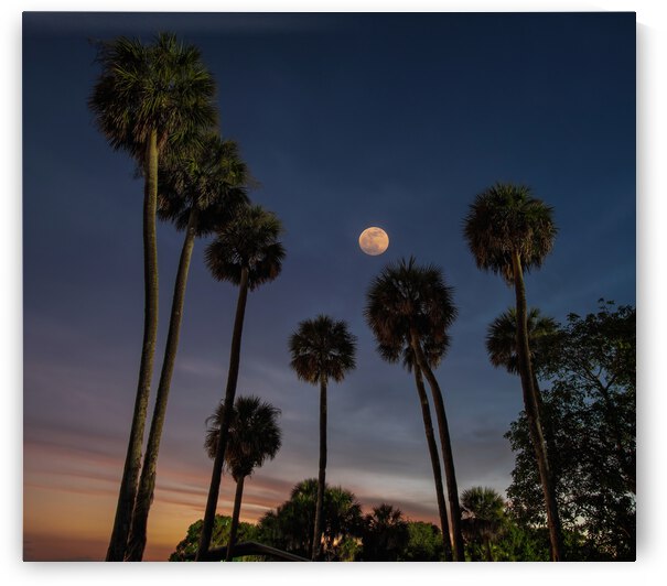 MOONRISE at LAKE WASHINGTON by Ercan Ekinci
