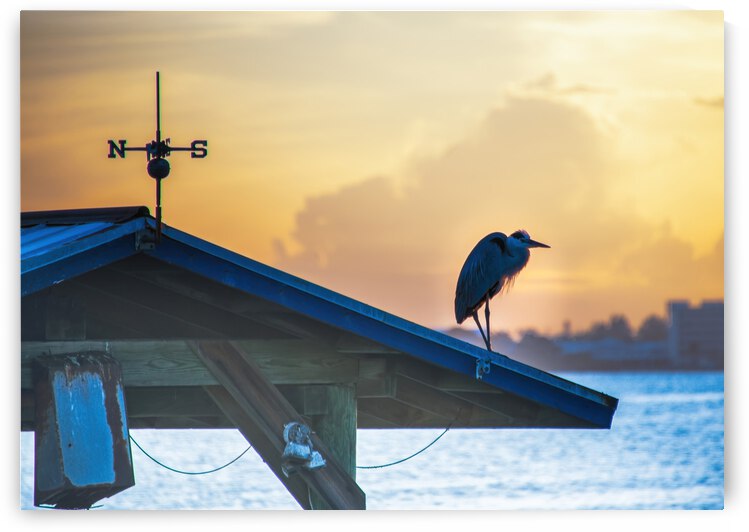 SUNSET at INDIAN RIVER LAGOON by Ercan Ekinci
