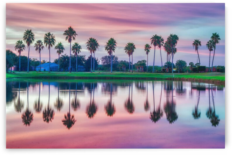 TROPICAL SUNRISE REFLECTIONS by Ercan Ekinci