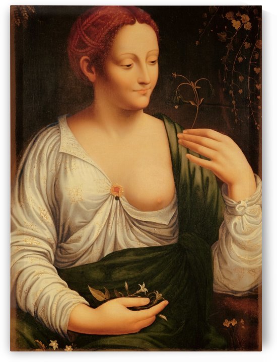 Columbine by Leonardo da Vinci