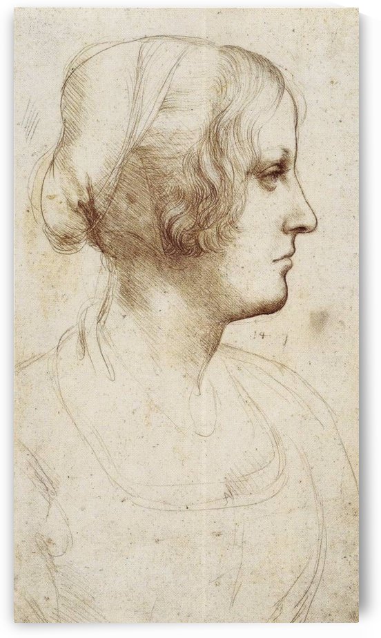 Leonardo da Vinci // Art Collection