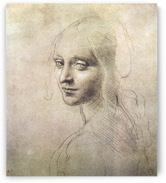 Head of a girl by Leonardo da Vinci