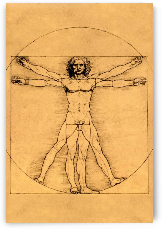 Human Body by Leonardo da Vinci