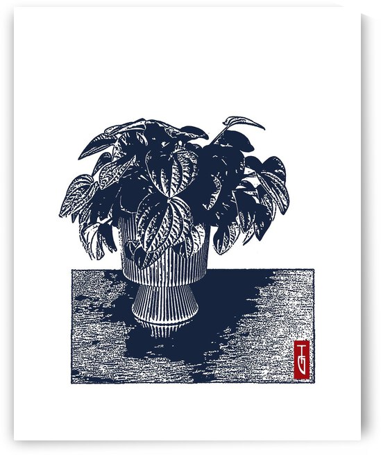 Monocot I by Tricia Greaves