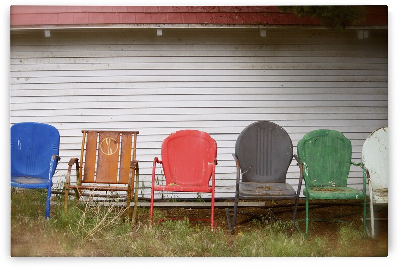 The Spectators by Tricia Greaves