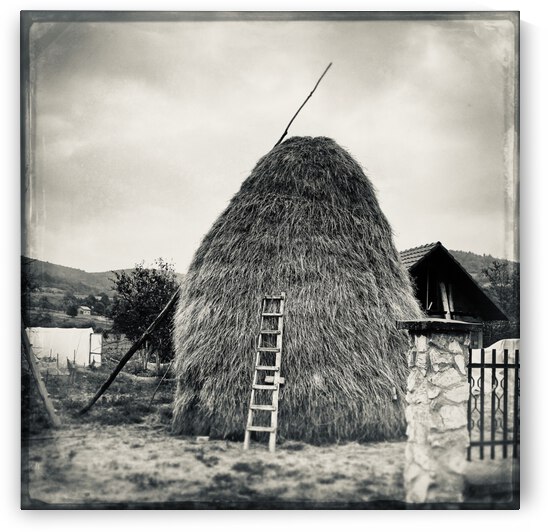 Montenegran Haystack by Tricia Greaves
