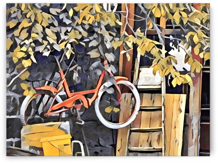 Bike Storage by Tricia Greaves