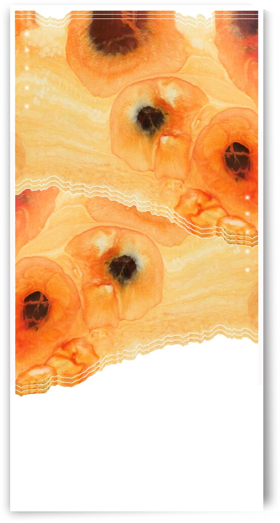 Orange Poppy Strata 2 by Tricia Greaves