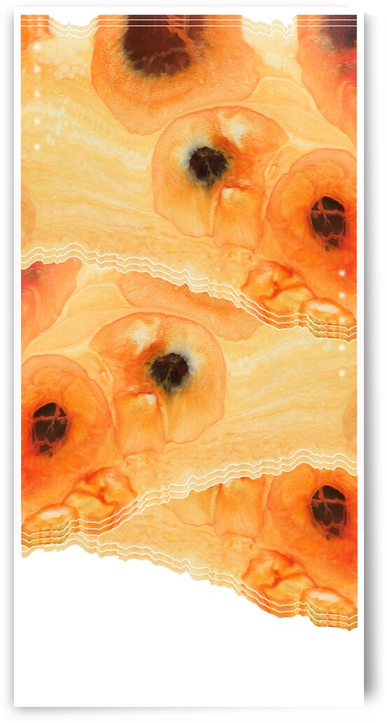 Orange Poppy Strata 3 by Tricia Greaves