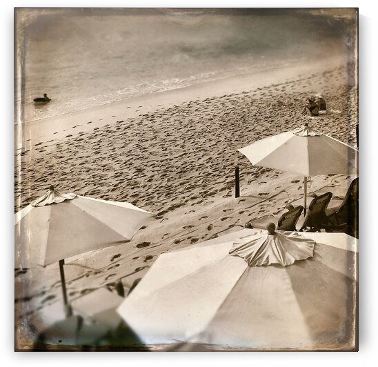 Halcyon Days by Tricia Greaves