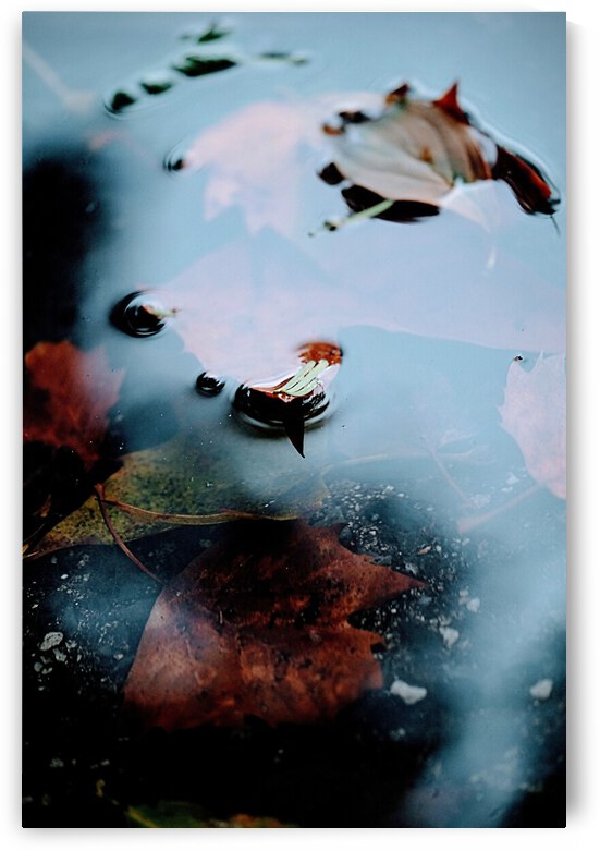 2021 1027 08391200 2