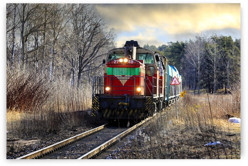 Two VR Group Diesel Locomotives in front of Freight Train by Taina Sohlman