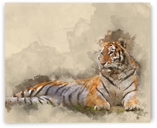 Digital watercolour painting of Beautiful image of tiger relaxin by Matthew Gibson