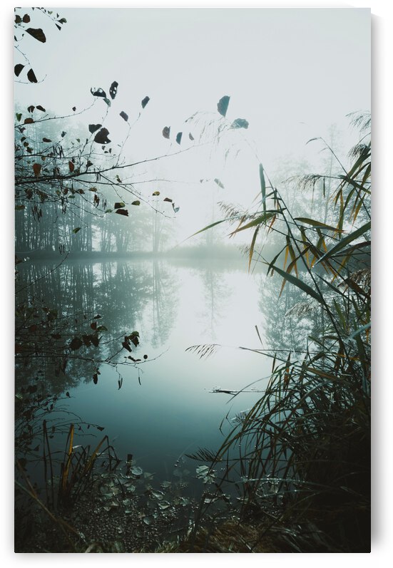 Dancing Waves by Chatz Schwab Lakewood