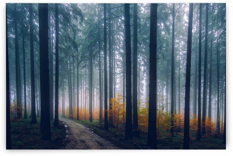 Waiting for something by Chatz Schwab Lakewood