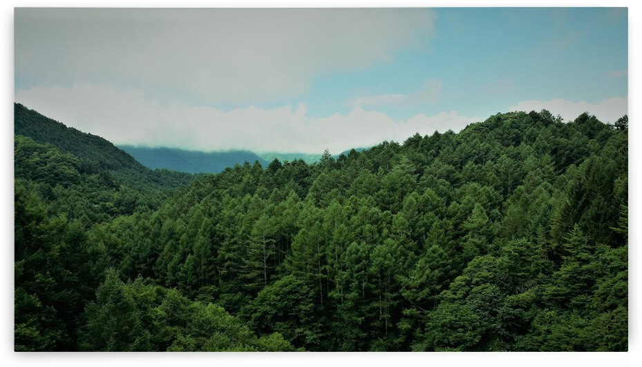 Standing all alone by Chatz Schwab Lakewood
