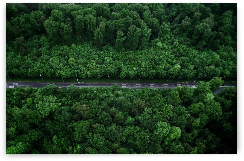 Get the Chance by Chatz Schwab Lakewood