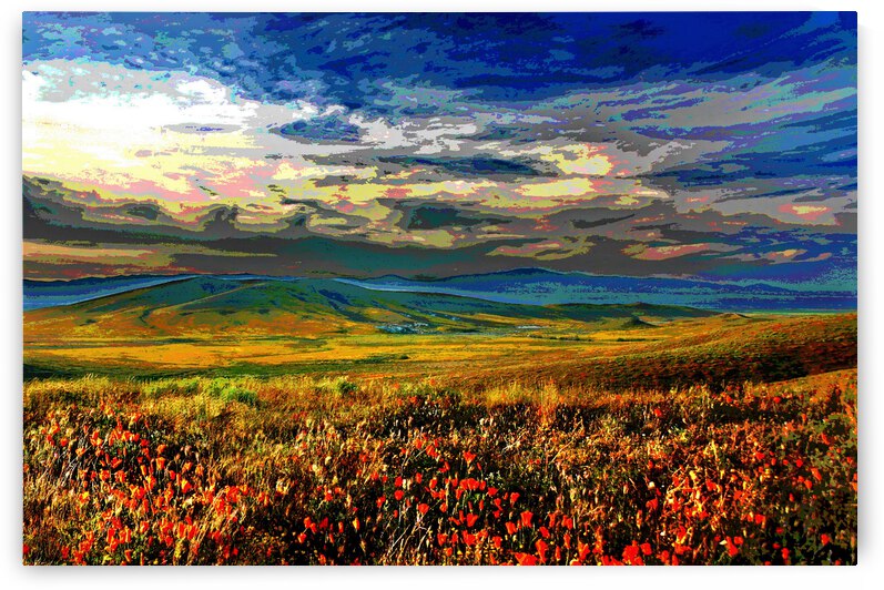 CALIFORNIA - POPPY FIELDS 003  by LES MAYERS 