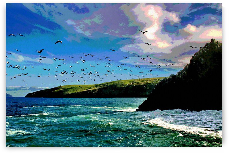 CHANNEL ISLANDS NATIONAL PARK  ANNACAPPA ISLAND   by LES MAYERS 