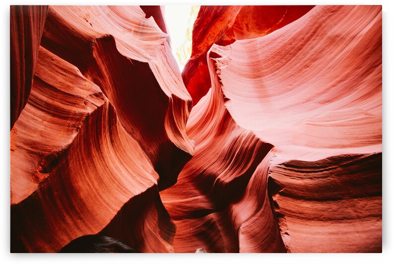 Curious by Corey Ribotsky