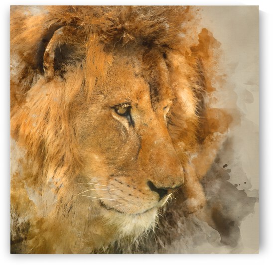 Digital watercolour painting of Beautiful intimate portrait imag by Matthew Gibson